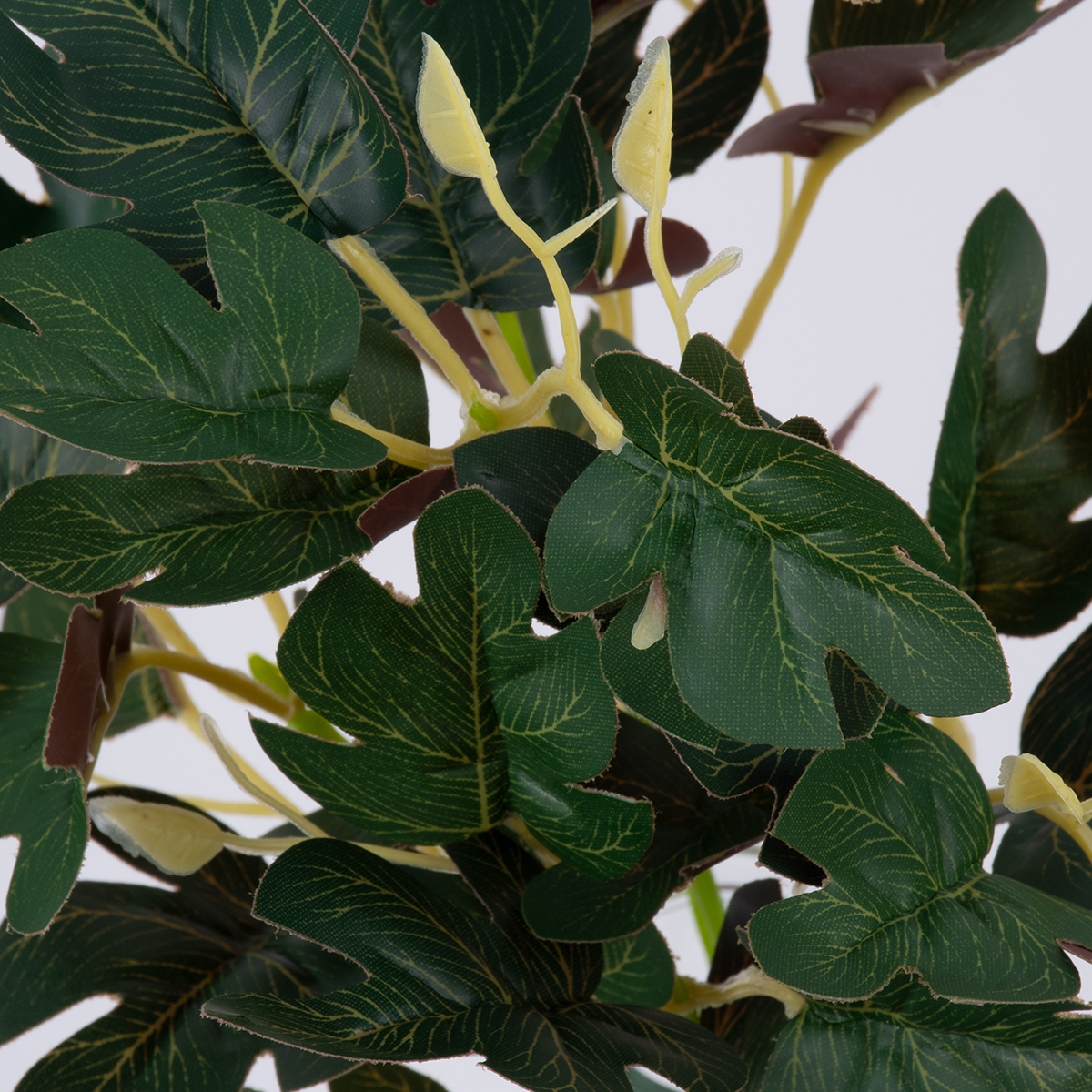 GloboStar® BELLYACHE BUSH 78219 Τεχνητό Φυτό Γιατρόφα - Μπουκέτο Διακοσμητικών Φυτών - Κλαδιών με Φύλλωμα Πράσινο - Κίτρινο - Κόκκινο Υ28cm - Image 2