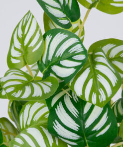 Alternative view of GloboStar® PEPEROMIA L.GREEN 78220 Τεχνητό Φυτό Πεπερόμια Αν.Πρ. - Μπουκέτο Διακοσμητικών Φυτών - Κλαδιών με Φύλλωμα Πράσινο - Κίτρινο - Λευκό Υ28cm