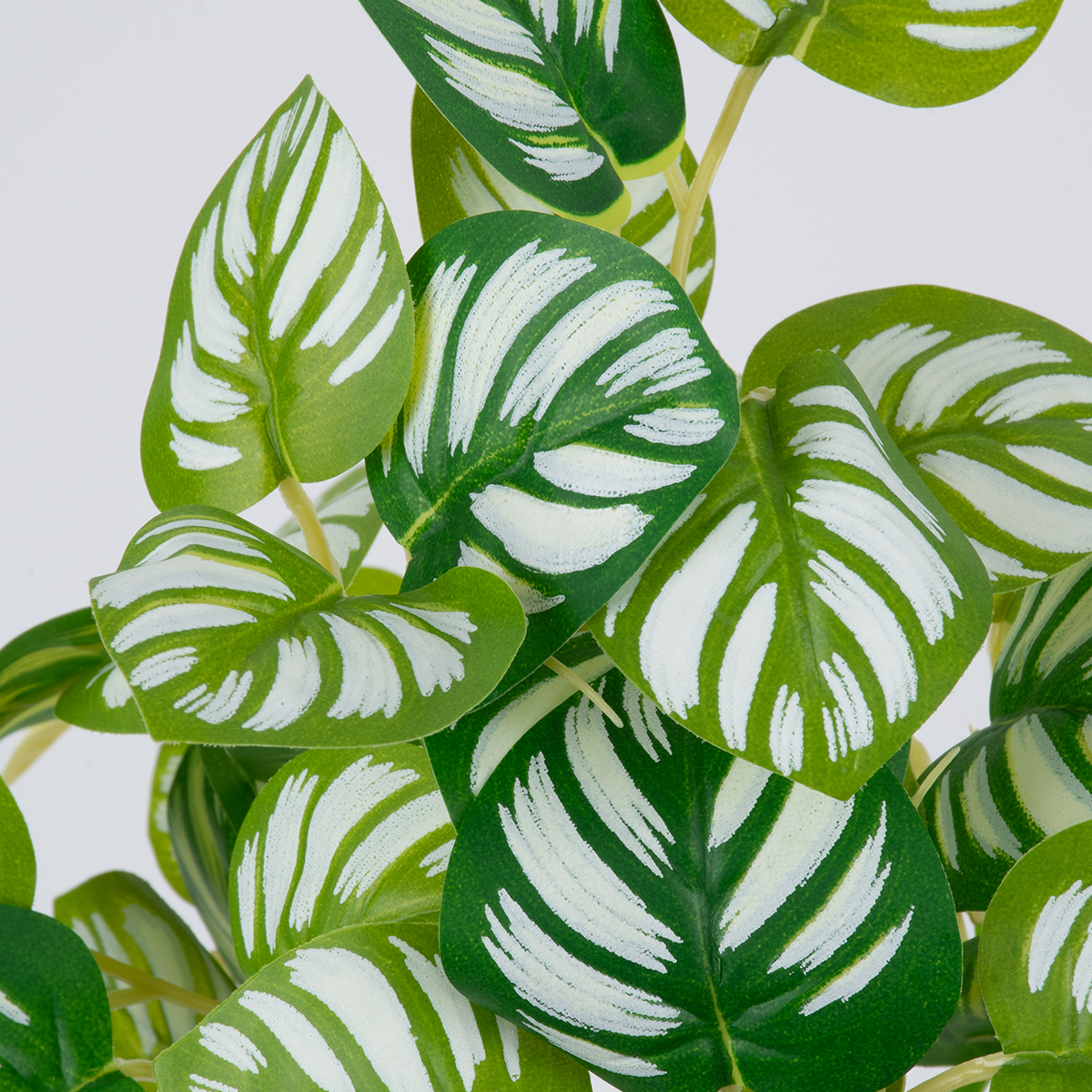 GloboStar® PEPEROMIA L.GREEN 78220 Τεχνητό Φυτό Πεπερόμια Αν.Πρ. - Μπουκέτο Διακοσμητικών Φυτών - Κλαδιών με Φύλλωμα Πράσινο - Κίτρινο - Λευκό Υ28cm - Image 2