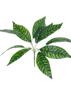 GloboStar® ZEBRA PLANT 78221 Τεχνητό Φυτό Ζέβρα - Μπουκέτο Διακοσμητικών Φυτών - Κλαδιών με Φύλλωμα Πράσινο Υ16cm