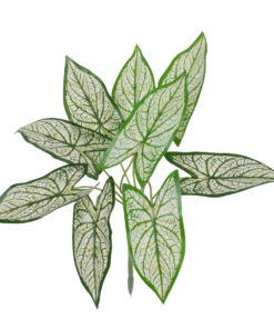 GloboStar® SYNGONIUM 78224 Τεχνητό Φυτό Συγγόνιο - Μπουκέτο Διακοσμητικών Φυτών - Κλαδιών με Φύλλωμα Πράσινο - Λευκό Υ37cm