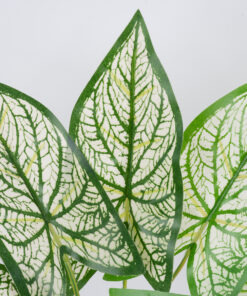 Alternative view of GloboStar® SYNGONIUM 78224 Τεχνητό Φυτό Συγγόνιο - Μπουκέτο Διακοσμητικών Φυτών - Κλαδιών με Φύλλωμα Πράσινο - Λευκό Υ37cm