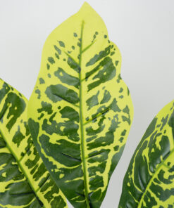 Alternative view of GloboStar® GREEN CROTON 78226 Τεχνητό Φυτό Κροτώνας Πράσινος - Μπουκέτο Διακοσμητικών Φυτών - Κλαδιών με Φύλλωμα Πράσινο Υ44cm