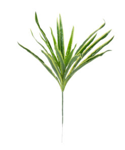 GloboStar® GREEN DRACAENA 78233 Τεχνητό Φυτό Δράκαινα Πράσινη - Μπουκέτο Διακοσμητικών Φυτών - Κλαδιών με Φύλλωμα Πράσινο Υ47cm