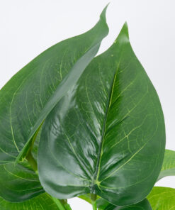 Alternative view of GloboStar® POTHOS 78266 Τεχνητό Φυτό Πόθος - Μπουκέτο Διακοσμητικών Φυτών - Κλαδιών με Φύλλωμα Πράσινο Υ28cm