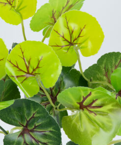 Alternative view of GloboStar® CENTELLA 78267 Τεχνητό Φυτό Σεντέλα - Μπουκέτο Διακοσμητικών Φυτών - Κλαδιών με Φύλλωμα Πράσινο Υ33cm