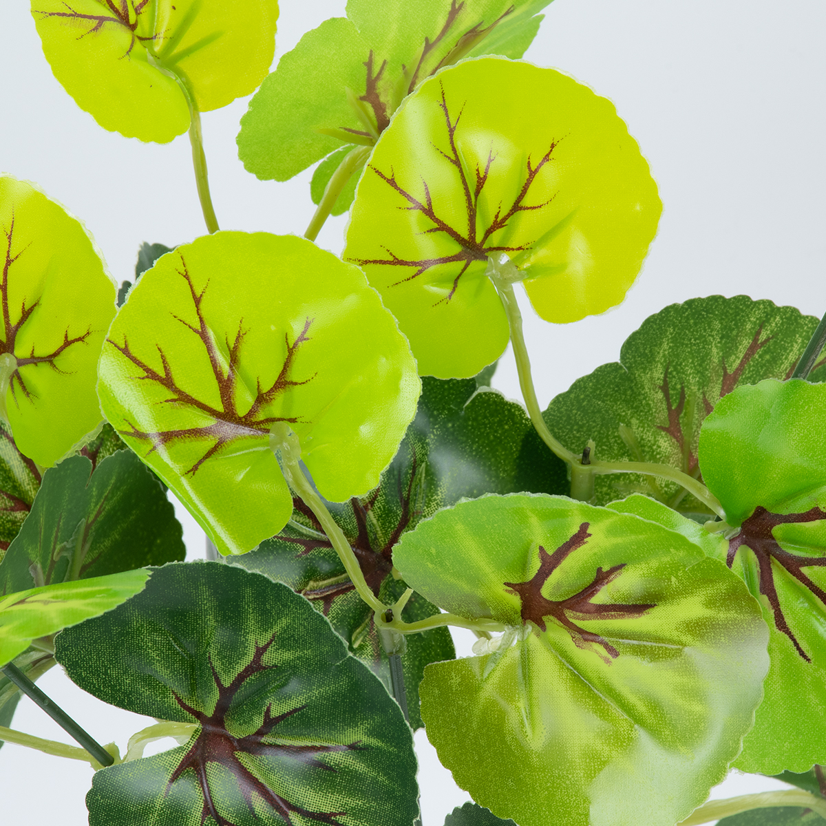 GloboStar® CENTELLA 78267 Τεχνητό Φυτό Σεντέλα - Μπουκέτο Διακοσμητικών Φυτών - Κλαδιών με Φύλλωμα Πράσινο Υ33cm - Image 2