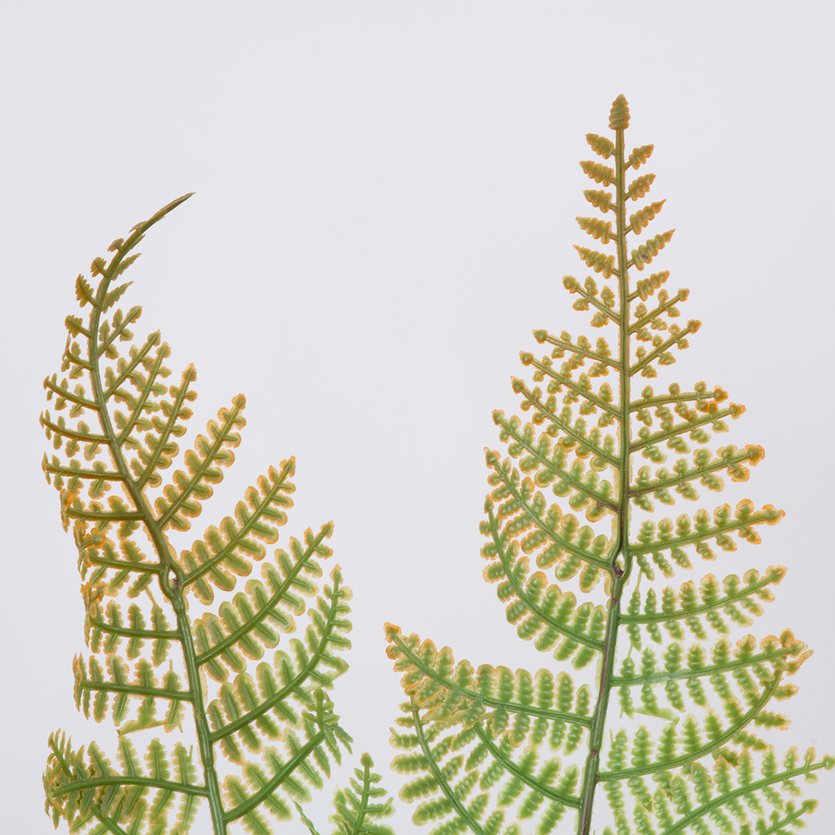 GloboStar® FERN 78269 Τεχνητό Φυτό Φτέρη - Μπουκέτο Διακοσμητικών Φυτών - Κλαδιών με Φύλλωμα Πράσινο - Καφέ Υ45cm - Image 2