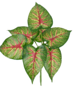 GloboStar® CALADIUM 78271 Τεχνητό Φυτό Καλάδιο - Μπουκέτο Διακοσμητικών Φυτών - Κλαδιών με Φύλλωμα Πράσινο - Κόκκινο - Κίτρινο Υ28cm