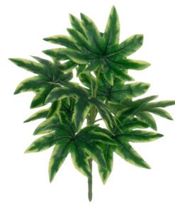 GloboStar® RICE PAPER PLANT 78272 Τεχνητό Φυτό Τετραπάναξ - Μπουκέτο Διακοσμητικών Φυτών - Κλαδιών με Φύλλωμα Πράσινο Υ30cm