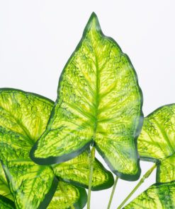 Alternative view of GloboStar® ELEPHANT EARS 78273 Τεχνητό Φυτό Κολοκάσια - Μπουκέτο Διακοσμητικών Φυτών - Κλαδιών με Φύλλωμα Πράσινο - Κίτρινο Υ40cm
