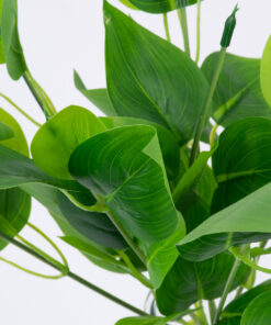 Alternative view of GloboStar® WATER PLANTAIN 78284 Τεχνητό Φυτό Άλισμα - Μπουκέτο Διακοσμητικών Φυτών - Κλαδιών με Φύλλωμα Πράσινο Υ30cm