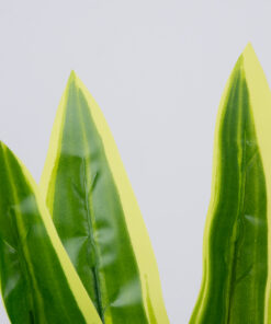 Alternative view of GloboStar® CORN PLANT 78285 Τεχνητό Φυτό Δράκαινα Αρωματική - Μπουκέτο Διακοσμητικών Φυτών - Κλαδιών με Φύλλωμα Πράσινο - Κίτρινο Υ48cm