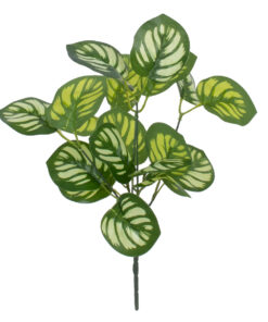 GloboStar® GREEN PEPEROMIA 78286 Τεχνητό Φυτό Πεπερόμια Πράσινη - Μπουκέτο Διακοσμητικών Φυτών - Κλαδιών με Φύλλωμα Πράσινο - Λευκό Υ33cm