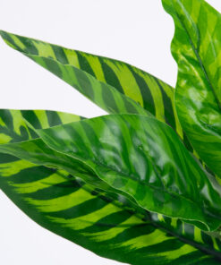 Alternative view of GloboStar® PEACOCK PLANT D.GREEN 78288 Τεχνητό Φυτό Καλαθέα Σ.Πρ. - Μπουκέτο Διακοσμητικών Φυτών - Κλαδιών με Φύλλωμα Πράσινο Υ28cm