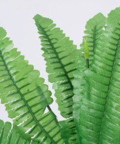 Alternative view of GloboStar® BOSTON FERN SMALL 78291 Τεχνητό Φυτό Φτέρη Βοστώνης Μικρή - Μπουκέτο Διακοσμητικών Φυτών - Κλαδιών με Φύλλωμα Πράσινο Υ30cm