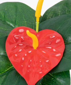 Alternative view of GloboStar® FLAMINGO FLOWER 78293 Τεχνητό Φυτό Ανθούριο - Μπουκέτο Διακοσμητικών Φυτών - Κλαδιών με Φύλλωμα Πράσινο - Πορτοκαλί - Κόκκινο Υ26cm