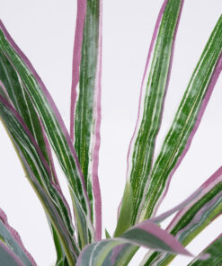 Alternative view of GloboStar® DRACAENA PURPLE 78294 Τεχνητό Φυτό Δράκαινα Μωβ - Μπουκέτο Διακοσμητικών Φυτών - Κλαδιών με Φύλλωμα Πράσινο - Μωβ Υ45cm