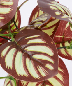 Alternative view of GloboStar® RED PEPEROMIA 78297 Τεχνητό Φυτό Πεπερόμια Κοκκ. - Μπουκέτο Διακοσμητικών Φυτών - Κλαδιών με Φύλλωμα Κόκκινο - Λευκό Υ30cm
