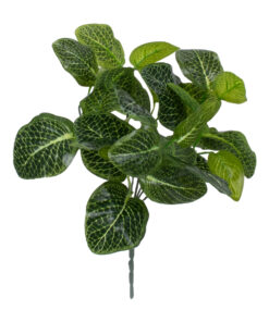 GloboStar® NERVE PLANT 78300 Τεχνητό Φυτό Φιτόνια - Μπουκέτο Διακοσμητικών Φυτών - Κλαδιών με Φύλλωμα Πράσινο Υ32cm