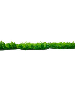 Alternative view of GloboStar® 78416 Artificial - Συνθετικό Τεχνητό Διακοσμητικό Πάνελ Φυλλωσιάς - Κάθετος Κήπος Καυκάσιο Πυξάρι Πράσινο Μ60 x Υ40 x Π4cm