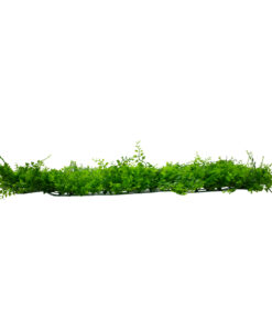 Alternative view of GLOBOSTAR® LEYLAND 78418 Τεχνητό Πάνελ Φυλλωσιάς Κάθετος Κήπος Λέιλαντ/Νάνος Κισσός - Πράσινο - Μ60 x Π9 x Υ40cm