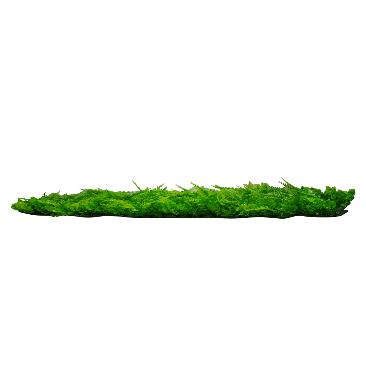GloboStar® 78419 Artificial - Συνθετικό Τεχνητό Διακοσμητικό Πάνελ Φυλλωσιάς - Κάθετος Κήπος Καυκάσιο Πυξάρι - Φτέρη - Λυσιμαχία Πράσινο Μ60 x Υ40 x Π9cm - Image 2