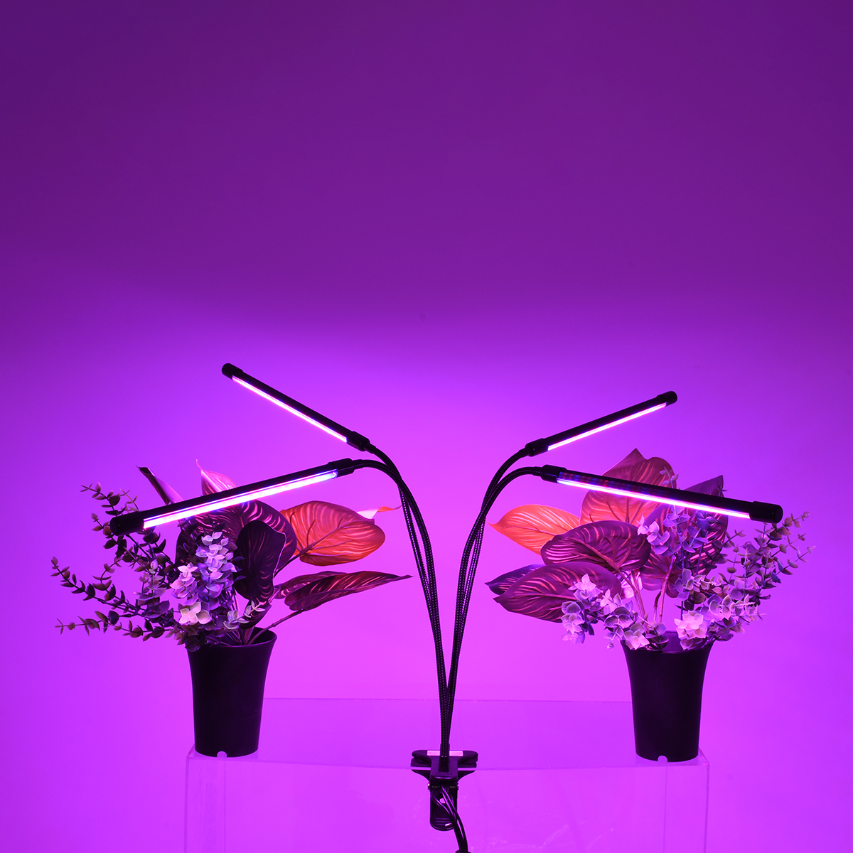 GloboStar® 85957 Grow Light Full Spectrum LED Φωτιστικό Ανάπτυξης Φυτών Γλάστρας με 4 Κινούμενες Κεφαλές & Βάση Μανταλάκι Clip SMD 2835 20W 160° AC230V IP20 με Dimmer & Timer Εσωτερικού Χώρου για Κάλυψη Επιφάνειας 1m x 1m Πλήρους Φάσματος Φωτισμού - Image 7