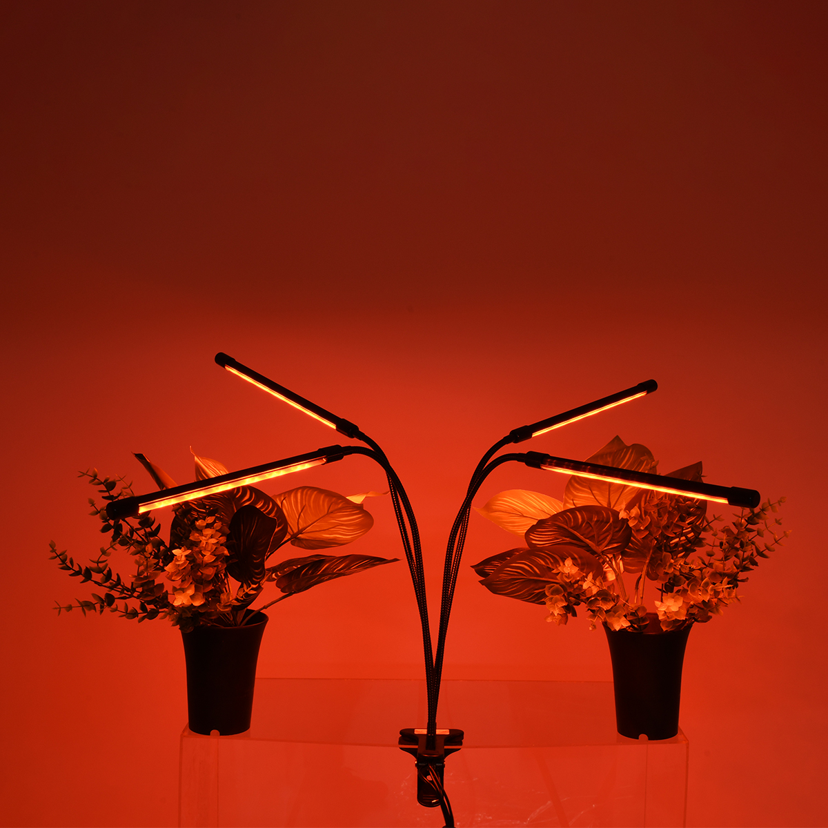 GloboStar® 85957 Grow Light Full Spectrum LED Φωτιστικό Ανάπτυξης Φυτών Γλάστρας με 4 Κινούμενες Κεφαλές & Βάση Μανταλάκι Clip SMD 2835 20W 160° AC230V IP20 με Dimmer & Timer Εσωτερικού Χώρου για Κάλυψη Επιφάνειας 1m x 1m Πλήρους Φάσματος Φωτισμού - Image 9