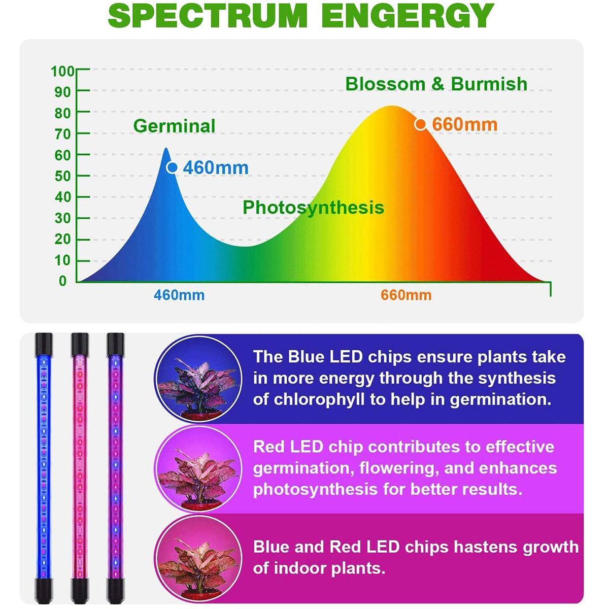 GloboStar® 85957 Grow Light Full Spectrum LED Φωτιστικό Ανάπτυξης Φυτών Γλάστρας με 4 Κινούμενες Κεφαλές & Βάση Μανταλάκι Clip SMD 2835 20W 160° AC230V IP20 με Dimmer & Timer Εσωτερικού Χώρου για Κάλυψη Επιφάνειας 1m x 1m Πλήρους Φάσματος Φωτισμού - Image 10