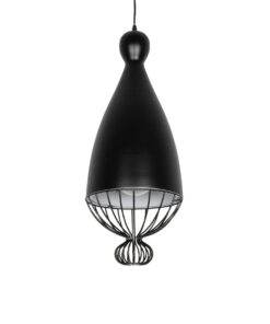 999_0110_1.jpg