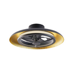 FAN3231168.jpg