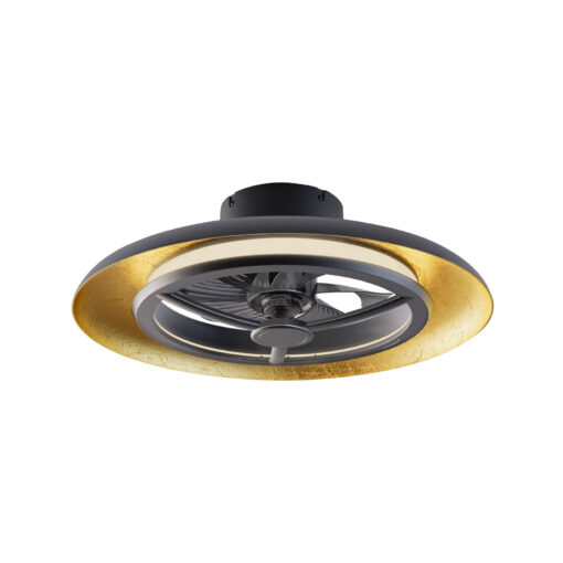 FAN3231168.jpg
