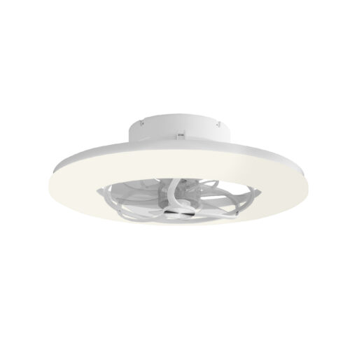 FAN32316110.jpg