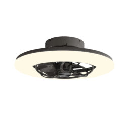FAN3231618.jpg
