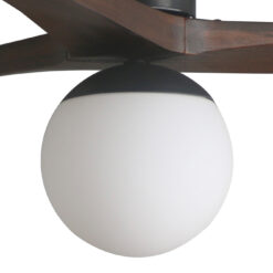 3L022.jpg