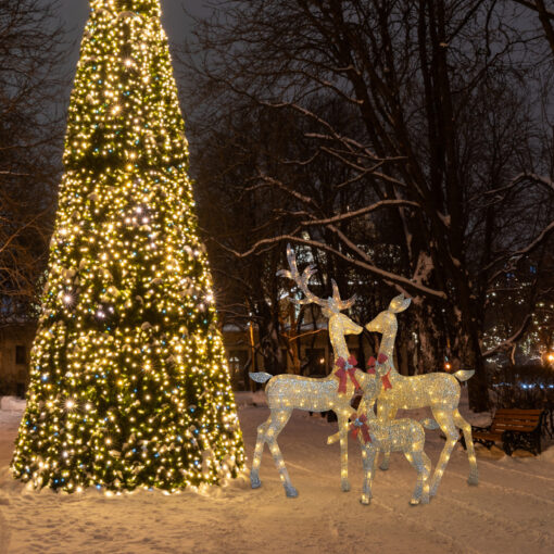 XREINDEERFAM_1.jpg